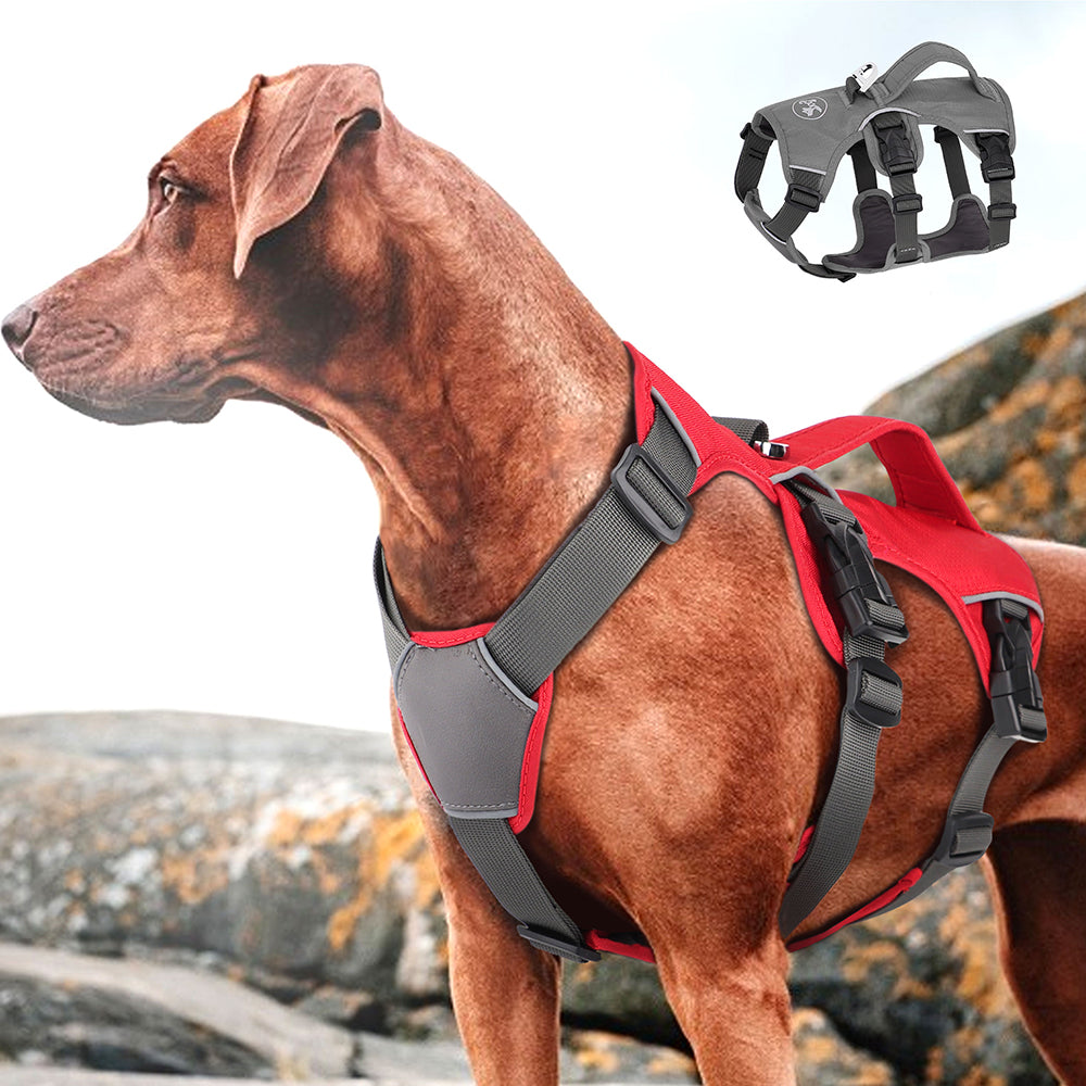 Dog Traction Rope Vest Harness – Adjustable No-Pull Chest Strap for Small & Large Dogs