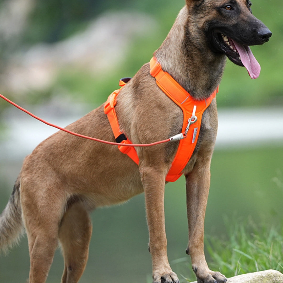Multi-Functional Minimalist Dog Harness – Outdoor Walking & Training Vest